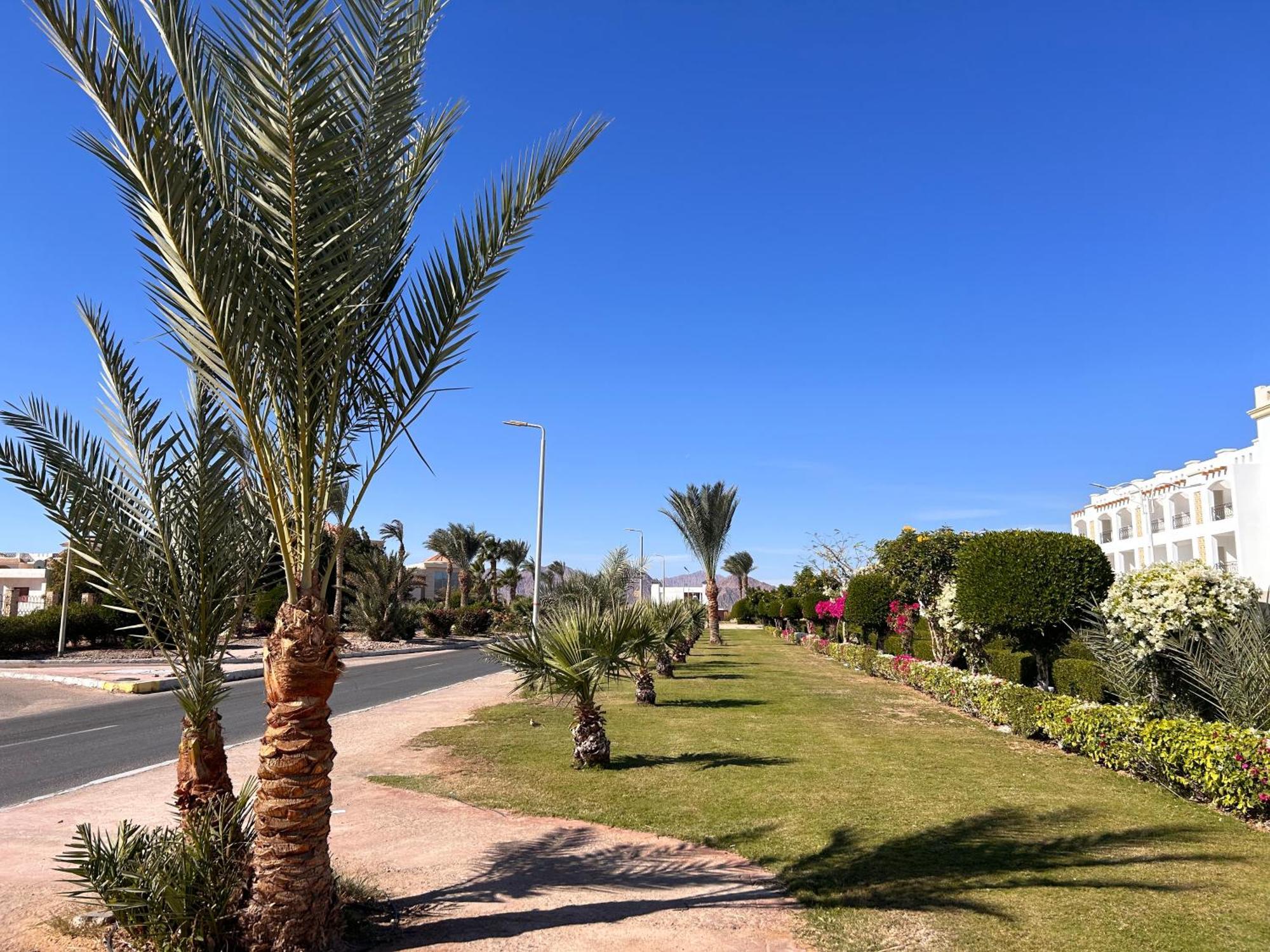 Cosy Studio On The First Floor With Lovely Terrace And Personal Garden Area, Pool View And Free Beach Access In Sharm Hills Resort شرم الشيخ المظهر الخارجي الصورة